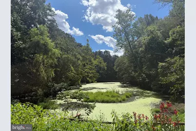 6410 Wyngate Drive, Springfield, VA 22152 - Photo 49