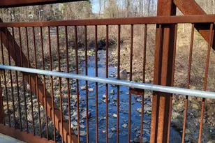 7600 Tremayne Pl, McLean, VA 22102 - Photo 25