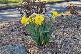 7600 Tremayne Pl, McLean, VA 22102 - Photo 27