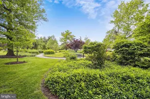 6641 Wakefield Dr, Alexandria, VA 22307 - Photo 31