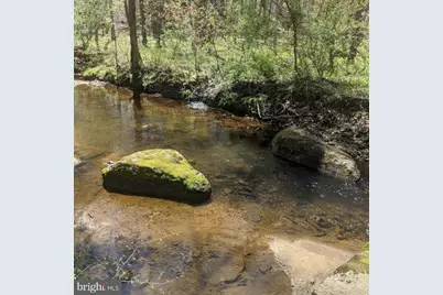 7702 Newington Forest Avenue, Springfield, VA 22153 - Photo 41