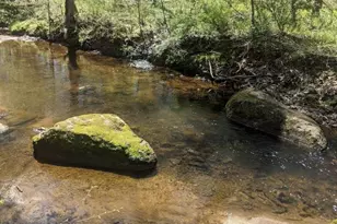 7702 Newington Forest Ave, Springfield, VA 22153 - Photo 41