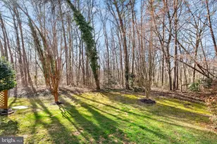 6223 Windham Hill Run, Alexandria, VA 22315 - Photo 63