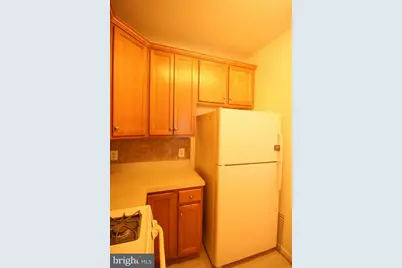 3810 Lightfoot Street #308, Chantilly, VA 20151 - Photo 15