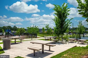 7203 Mountaineer Dr, Alexandria, VA 22306 - Photo 37