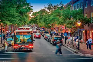 4201 Pickering Pl, Alexandria, VA 22309 - Photo 61