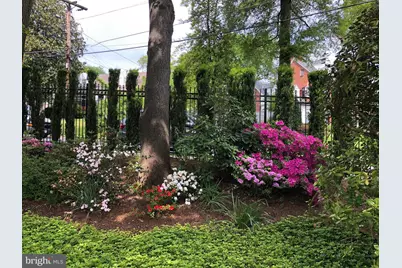 6108 Vernon Terrace, Alexandria, VA 22307 - Photo 85