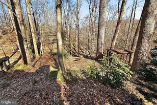 7994 Hidden Bridge Dr, Springfield, VA 22153 - Photo 43