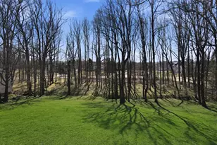 310 Springvale Rd, Great Falls, VA 22066 - Photo 51