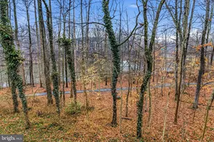 12541 N Lake Ct, Fairfax, VA 22033 - Photo 37