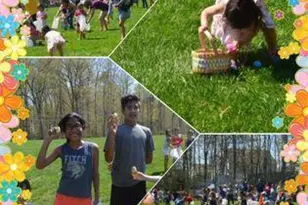 8461 Rushing Creek Ct, Springfield, VA 22153 - Photo 93