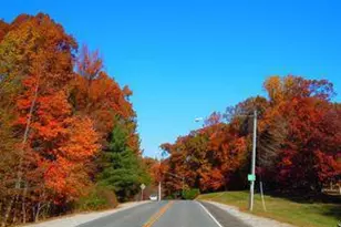 8461 Rushing Creek Ct, Springfield, VA 22153 - Photo 91