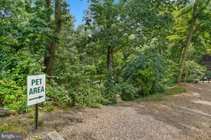 5904 Mt Eagle Dr, Alexandria, VA 22303 - Photo 87