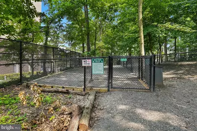 5904 Mount Eagle Drive #516, Alexandria, VA 22303 - Photo 87