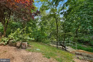 5904 Mt Eagle Dr, Alexandria, VA 22303 - Photo 77