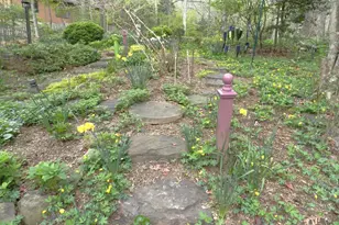 11698 Fox Glen Dr, Oakton, VA 22124 - Photo 87