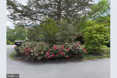 1513 Oakview Drive, McLean, VA 22101 - Photo 79