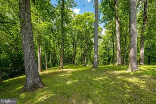 105 Interpromontory Rd, Great Falls, VA 22066 - Photo 71