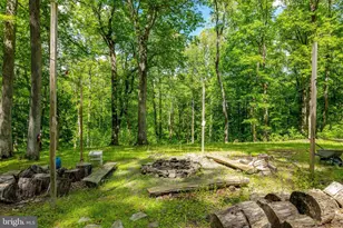 105 Interpromontory Rd, Great Falls, VA 22066 - Photo 73