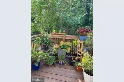 6035 Crown Royal Circle, Alexandria, VA 22310 - Photo 3