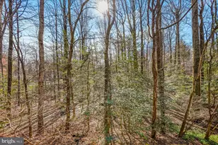 2315 Glade Bank Way, Reston, VA 20191 - Photo 13