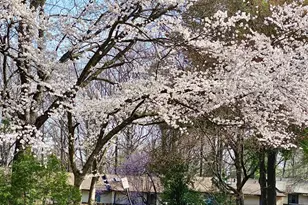 2315 Glade Bank Way, Reston, VA 20191 - Photo 37