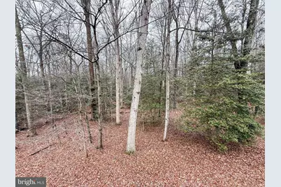 3106 Hunt Road, Oakton, VA 22124 - Photo 5