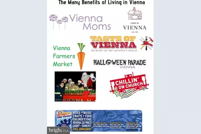 8413 Hollis Lane, Vienna, VA 22182 - Photo 61