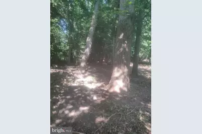 5940 Barberry Trail, Lorton, VA 22079 - Photo 3