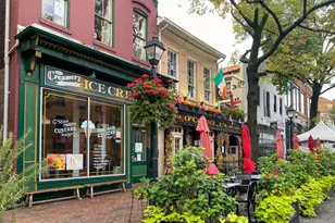 5530 Halwis St, Alexandria, VA 22303 - Photo 25