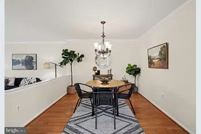 8433 Millwood Drive, Springfield, VA 22152 - Photo 7