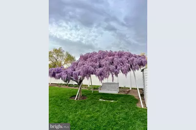 5909 Ridge View Drive, Alexandria, VA 22310 - Photo 33