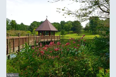 370 Holmes Drive NW, Vienna, VA 22180 - Photo 69