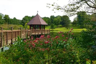 370 Holmes Dr NW, Vienna, VA 22180 - Photo 69