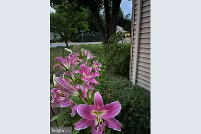 12701 Pinecrest Road, Herndon, VA 20171 - Photo 41