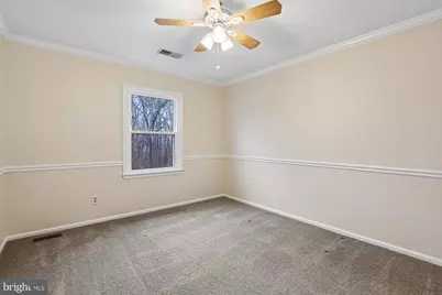 13423 Black Gum Court, Chantilly, VA 20151 - Photo 41