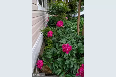 11283 Mobile Drive, Fairfax, VA 22030 - Photo 3