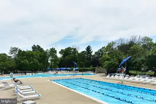 6610 E Wakefield Dr, Alexandria, VA 22307 - Photo 21