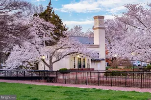 6619 E Wakefield Dr, Alexandria, VA 22307 - Photo 37