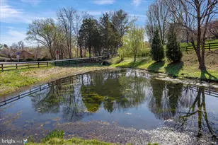 3022 Fox Den Ln, Oakton, VA 22124 - Photo 77