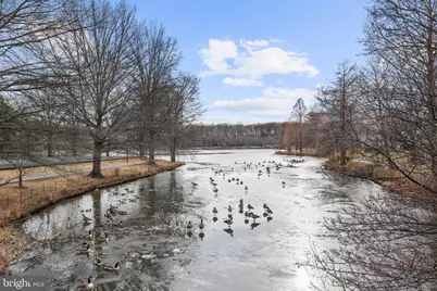 7756 New Providence Drive #16, Falls Church, VA 22042 - Photo 27
