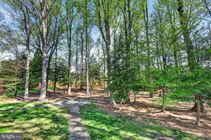 6488 Lake Meadow Dr, Burke, VA 22015 - Photo 71