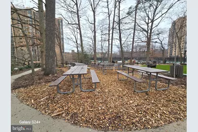 5902 Mount Eagle Drive #801, Alexandria, VA 22303 - Photo 35