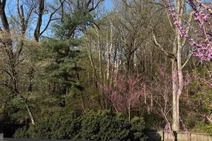 6309 Mori St, McLean, VA 22101 - Photo 53