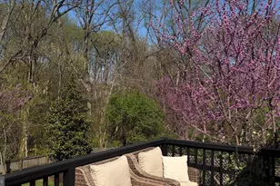 6309 Mori St, McLean, VA 22101 - Photo 5