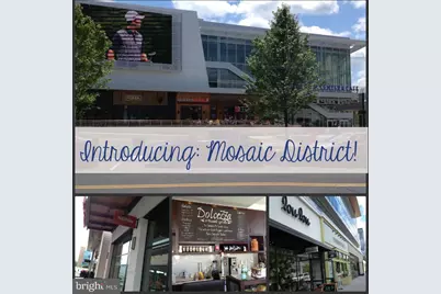 7203 Tyler Avenue, Falls Church, VA 22042 - Photo 17