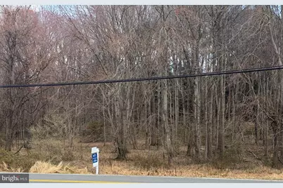 721 Utterback Store Road, Great Falls, VA 22066 - Photo 3