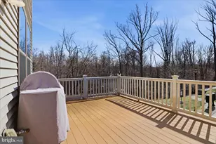 9298 Wild Black Cherry Ct, Fairfax, VA 22031 - Photo 15