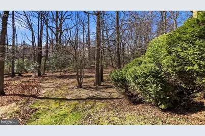 11417 Night Star Way, Reston, VA 20194 - Photo 31