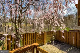 7923 Valleyfield Dr, Springfield, VA 22153 - Photo 19